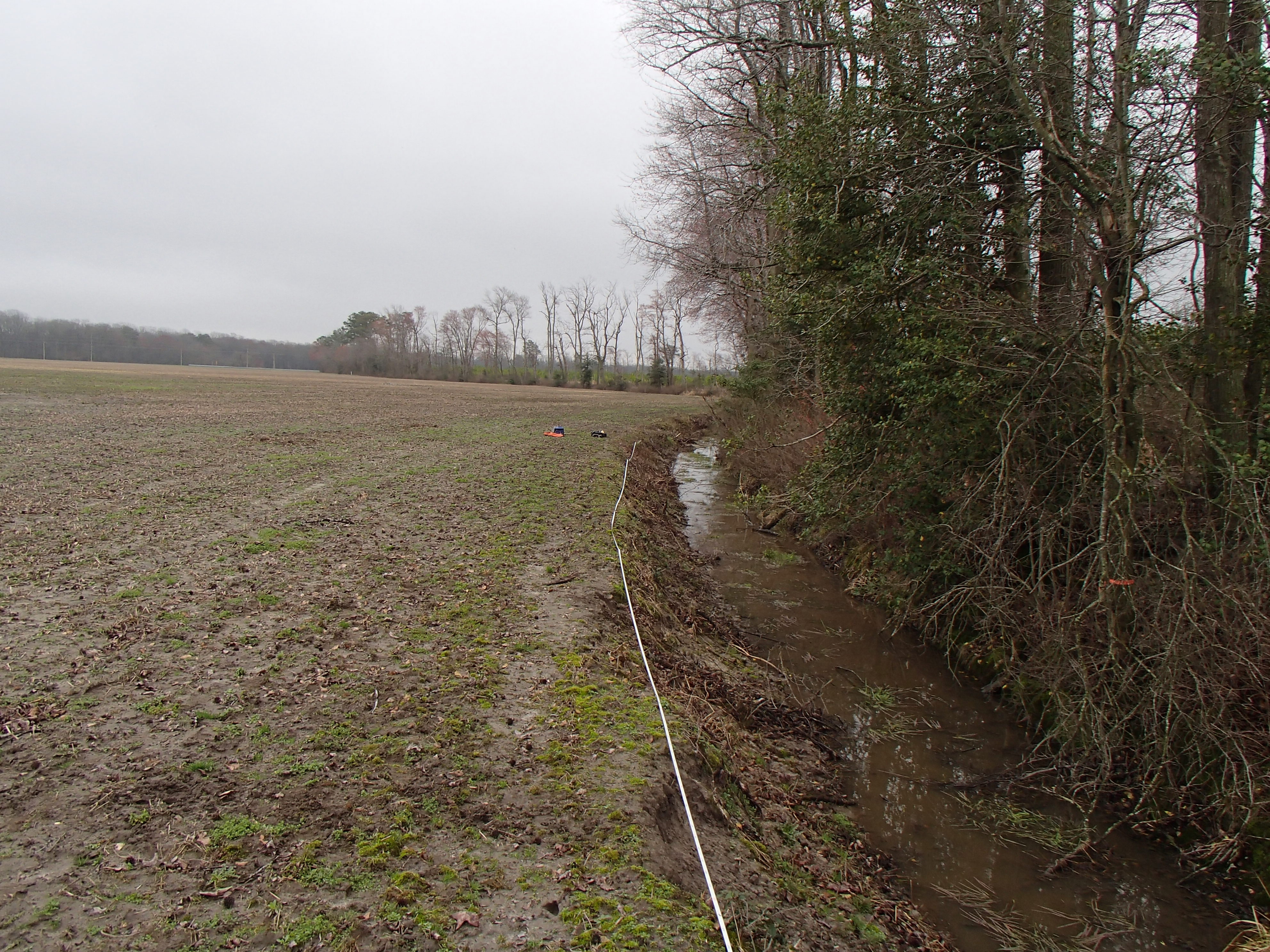 Field photo showing stream conditions at site NANT-104-R-2016_midpoint looking downstream